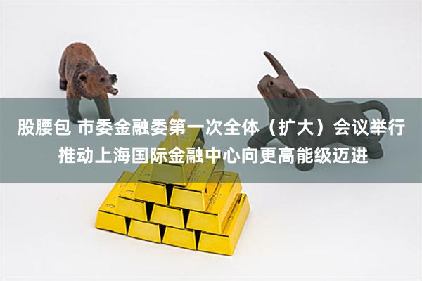 股腰包 市委金融委第一次全体（扩大）会议举行 推动上海国际金融中心向更高能级迈进
