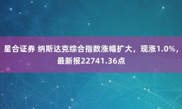 星合证券 纳斯达克综合指数涨幅扩大，现涨1.0%，最新报22741.36点