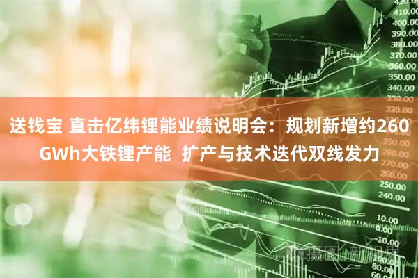 送钱宝 直击亿纬锂能业绩说明会：规划新增约260GWh大铁锂产能  扩产与技术迭代双线发力