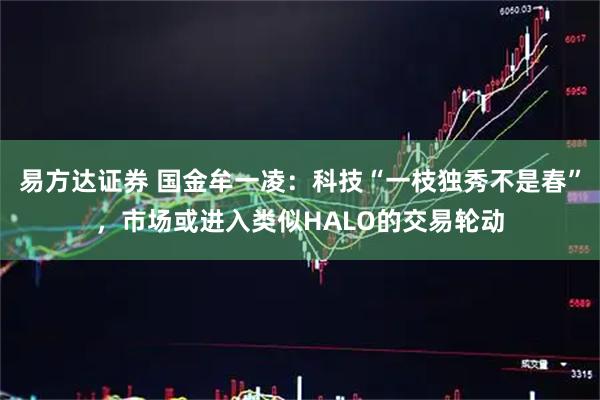 易方达证券 国金牟一凌：科技“一枝独秀不是春”，市场或进入类似HALO的交易轮动