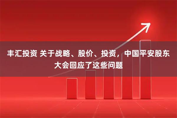 丰汇投资 关于战略、股价、投资，中国平安股东大会回应了这些问题