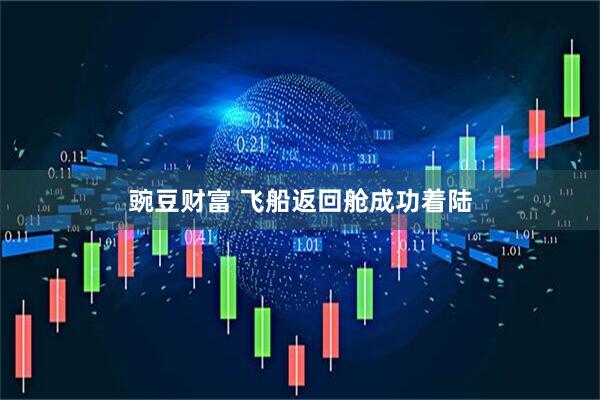 豌豆财富 飞船返回舱成功着陆