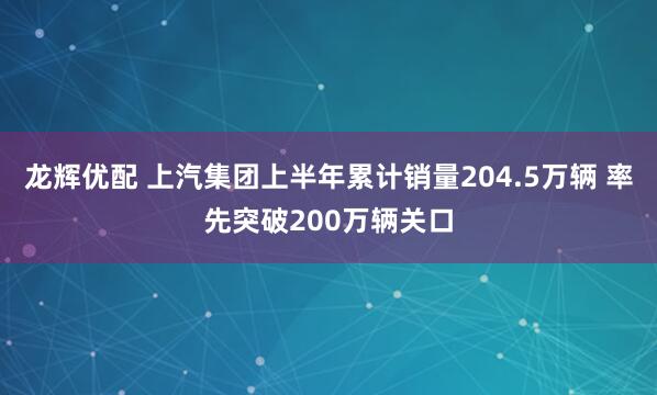 龙辉优配 上汽集团上半年累计销量204.5万辆 率先突破200万辆关口