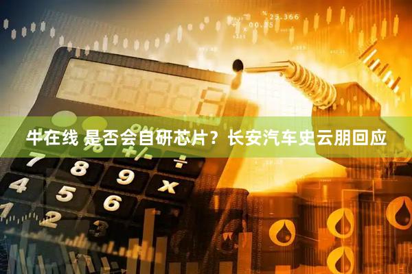 牛在线 是否会自研芯片？长安汽车史云朋回应