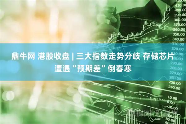 鼎牛网 港股收盘 | 三大指数走势分歧 存储芯片遭遇“预期差”倒春寒