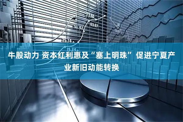 牛股动力 资本红利惠及“塞上明珠” 促进宁夏产业新旧动能转换