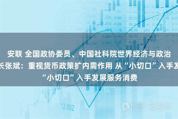 安联 全国政协委员、中国社科院世界经济与政治研究所副所长张斌：重视货币政策扩内需作用 从“小切口”入手发展服务消费