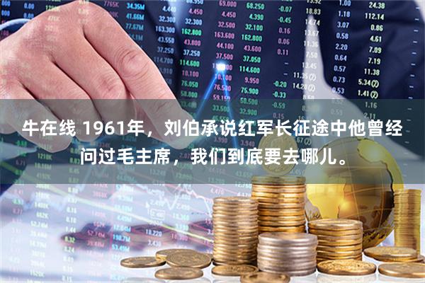 牛在线 1961年,刘伯承说红军长征途中他曾经问过毛主席,我们到底要去哪儿。