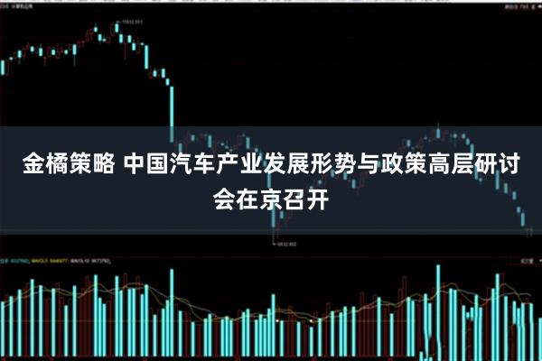 金橘策略 中国汽车产业发展形势与政策高层研讨会在京召开