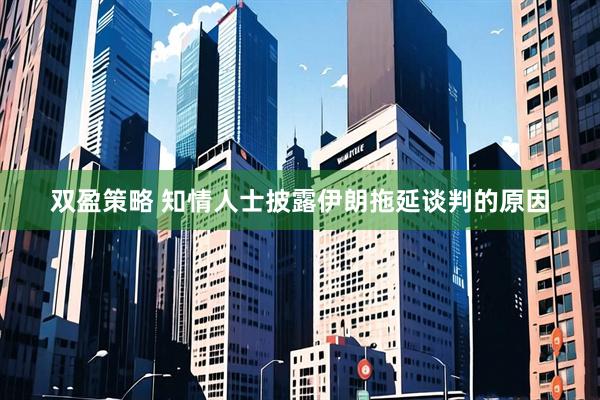 双盈策略 知情人士披露伊朗拖延谈判的原因