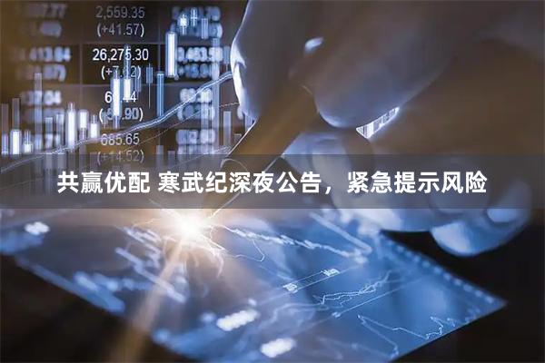 共赢优配 寒武纪深夜公告，紧急提示风险