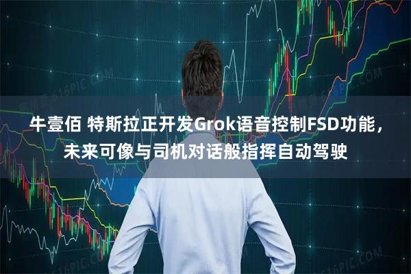 牛壹佰 特斯拉正开发Grok语音控制FSD功能，未来可像与司机对话般指挥自动驾驶