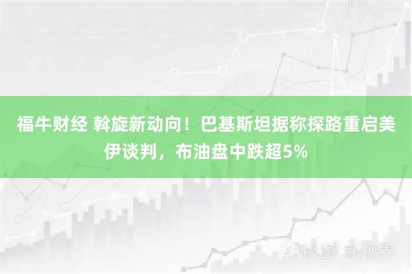 福牛财经 斡旋新动向！巴基斯坦据称探路重启美伊谈判，布油盘中跌超5%
