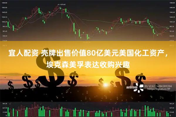 宜人配资 壳牌出售价值80亿美元美国化工资产，埃克森美孚表达收购兴趣