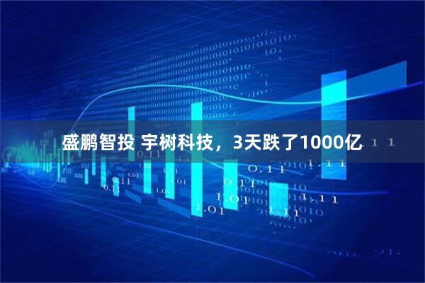 盛鹏智投 宇树科技，3天跌了1000亿