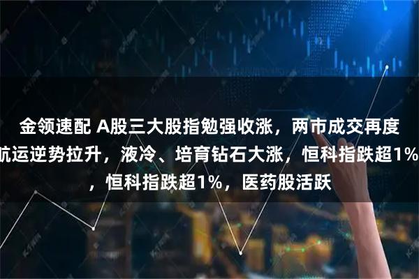 金领速配 A股三大股指勉强收涨，两市成交再度低于2万亿，航运逆势拉升，液冷、培育钻石大涨，恒科指跌超1%，医药股活跃